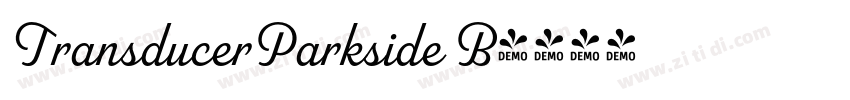 TransducerParkside B字体转换